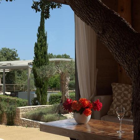Willa Stolidi Mou Treehouse Atsipopoulo Zewnętrze zdjęcie